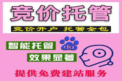 行业翘楚的sem代运营机构：成功案例解析